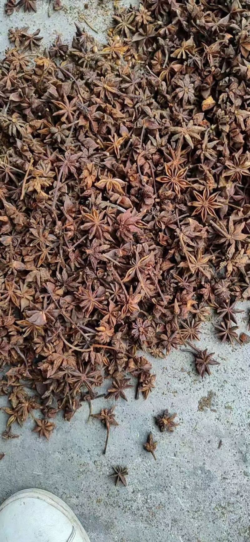 广西大红八角干支八角春花八角八角碎片规格多产地直销