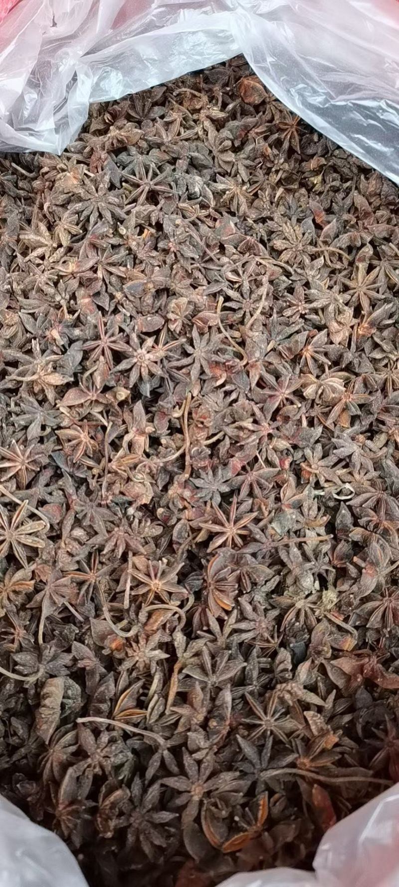 广西大红八角干支八角春花八角八角碎片规格多产地直销