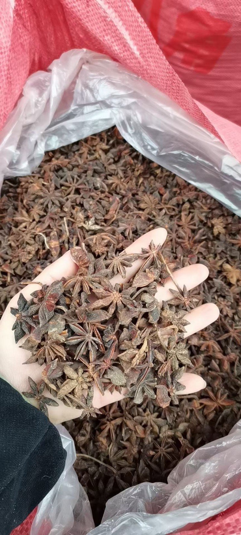 广西大红八角干支八角春花八角八角碎片规格多产地直销