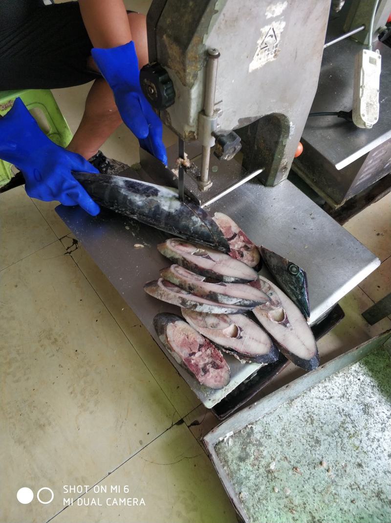 三沙黑马鲛，南海深海马鲛，切片好原料，提供原条或者包切片