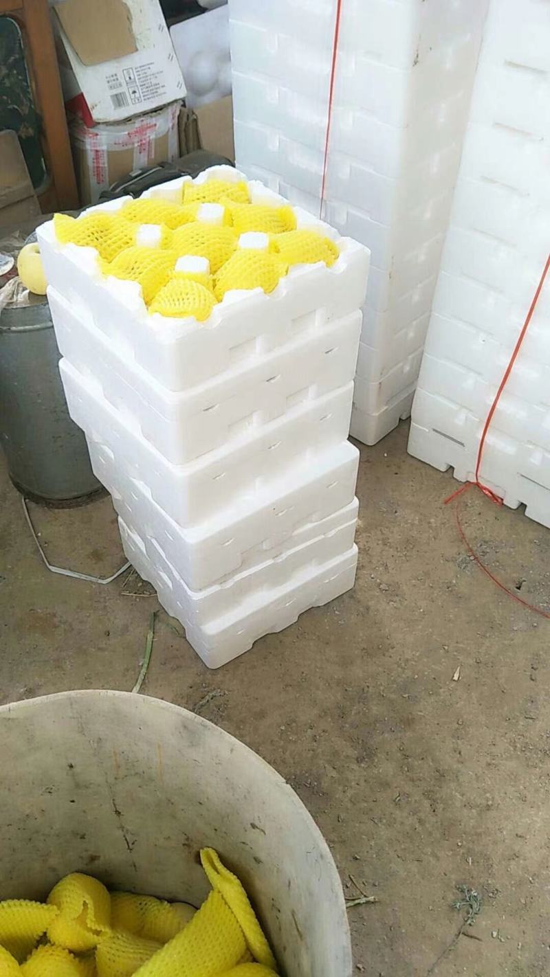 支持一件代发供应电商平台，奶油苹果。