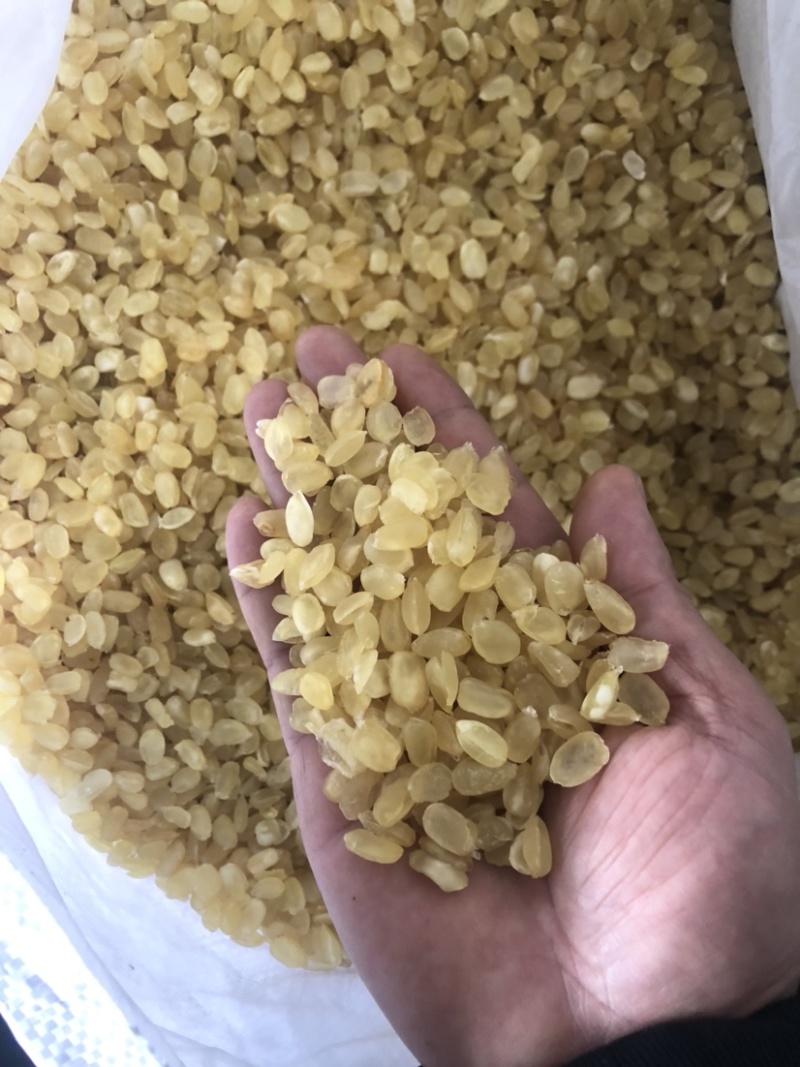 精品皂角米大双荚（雪莲子），