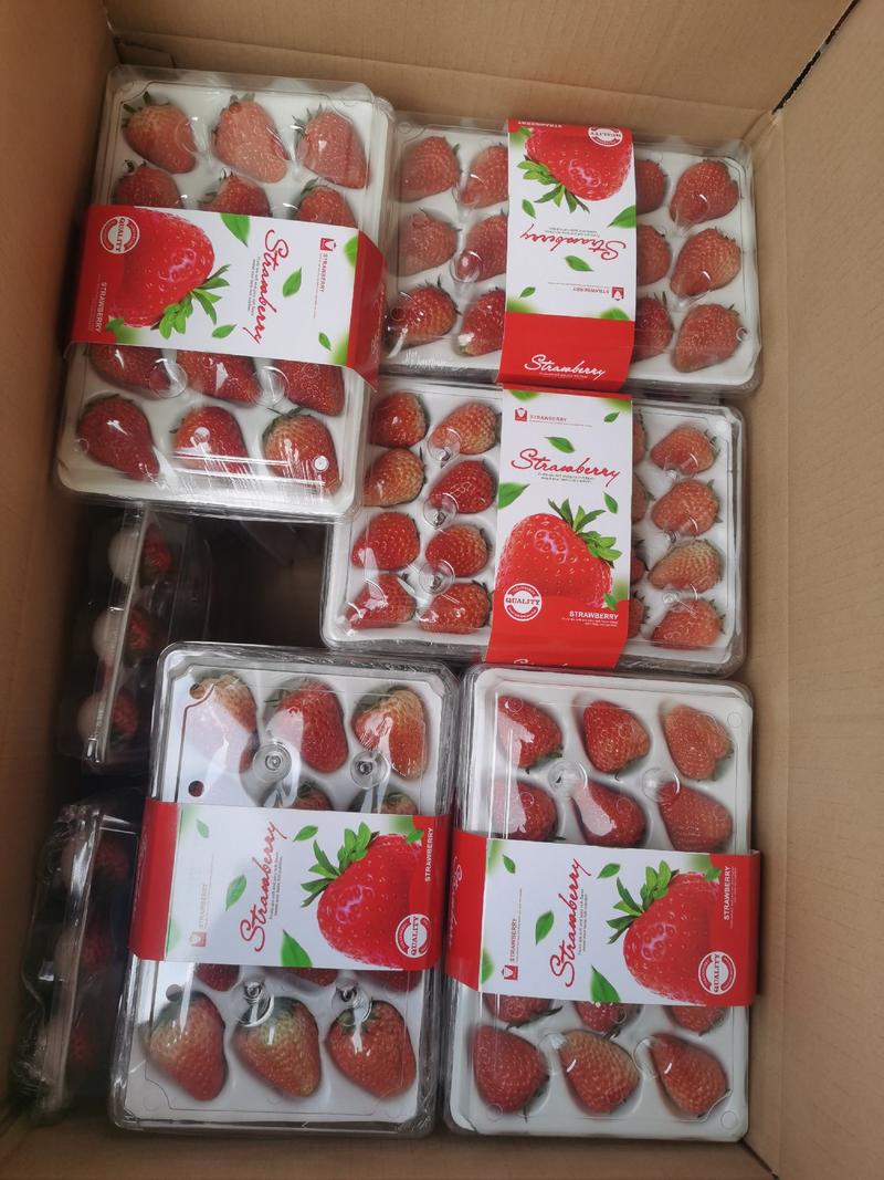 红颜草莓，大量有货。