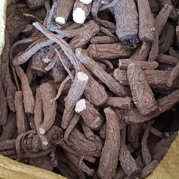 无硫白芷，有硫白芷，各种规格