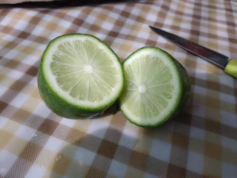 正宗台湾香水柠檬包无籽包正宗扦插苗嫁接苗柠檬苗