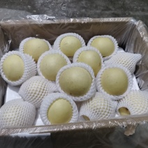 （优选）精品皇冠质量好口感脆甜产地供应适合一二三线城市