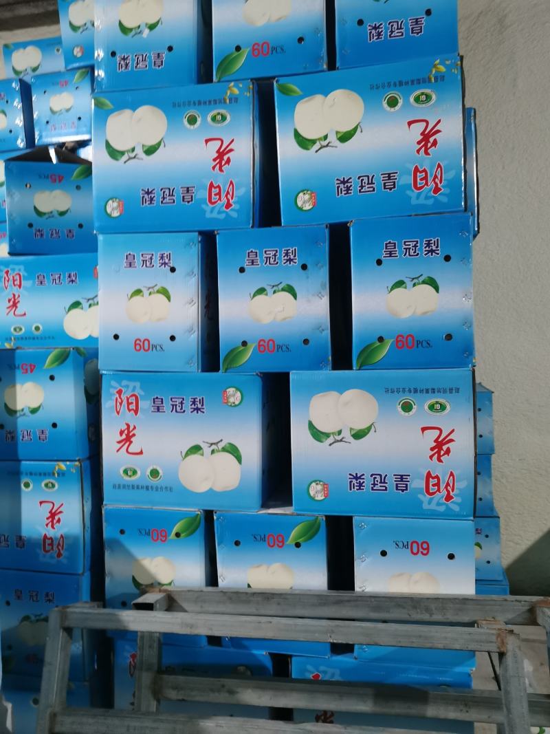 （优选）精品皇冠质量好口感脆甜产地供应适合一二三线城市