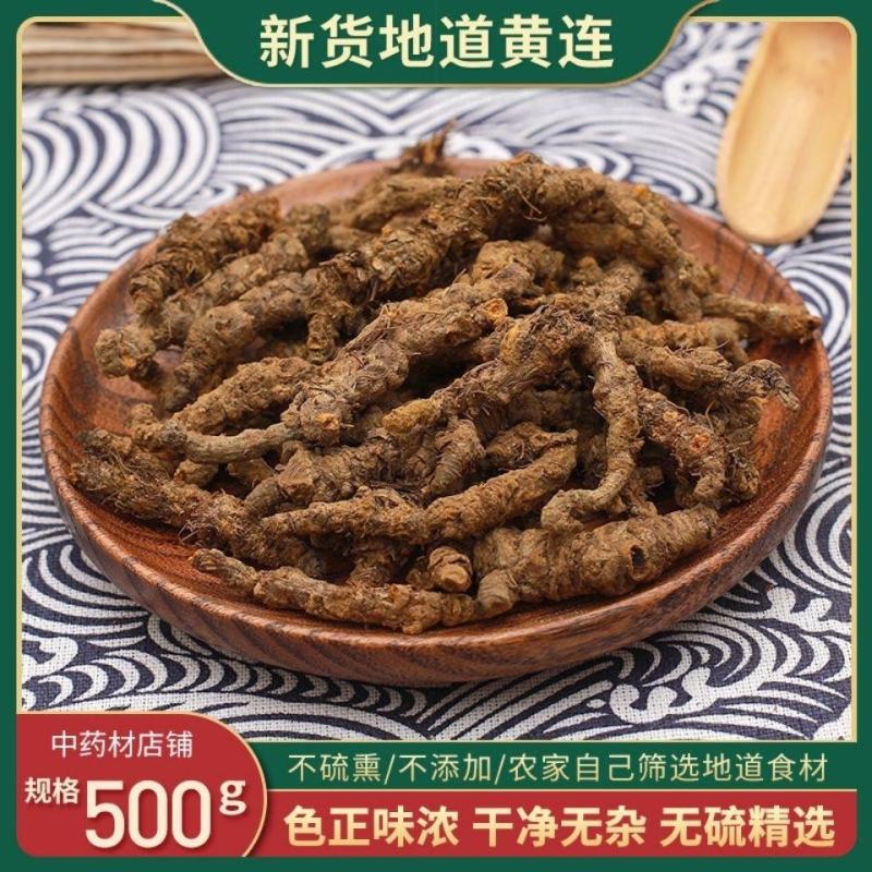 黄莲新货黄莲断面黄色过筛无沫子假一赔十代抓药方