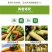 新鲜水果玉米笋现摘新鲜甜小玉米芯仔现发沙拉食材包邮。