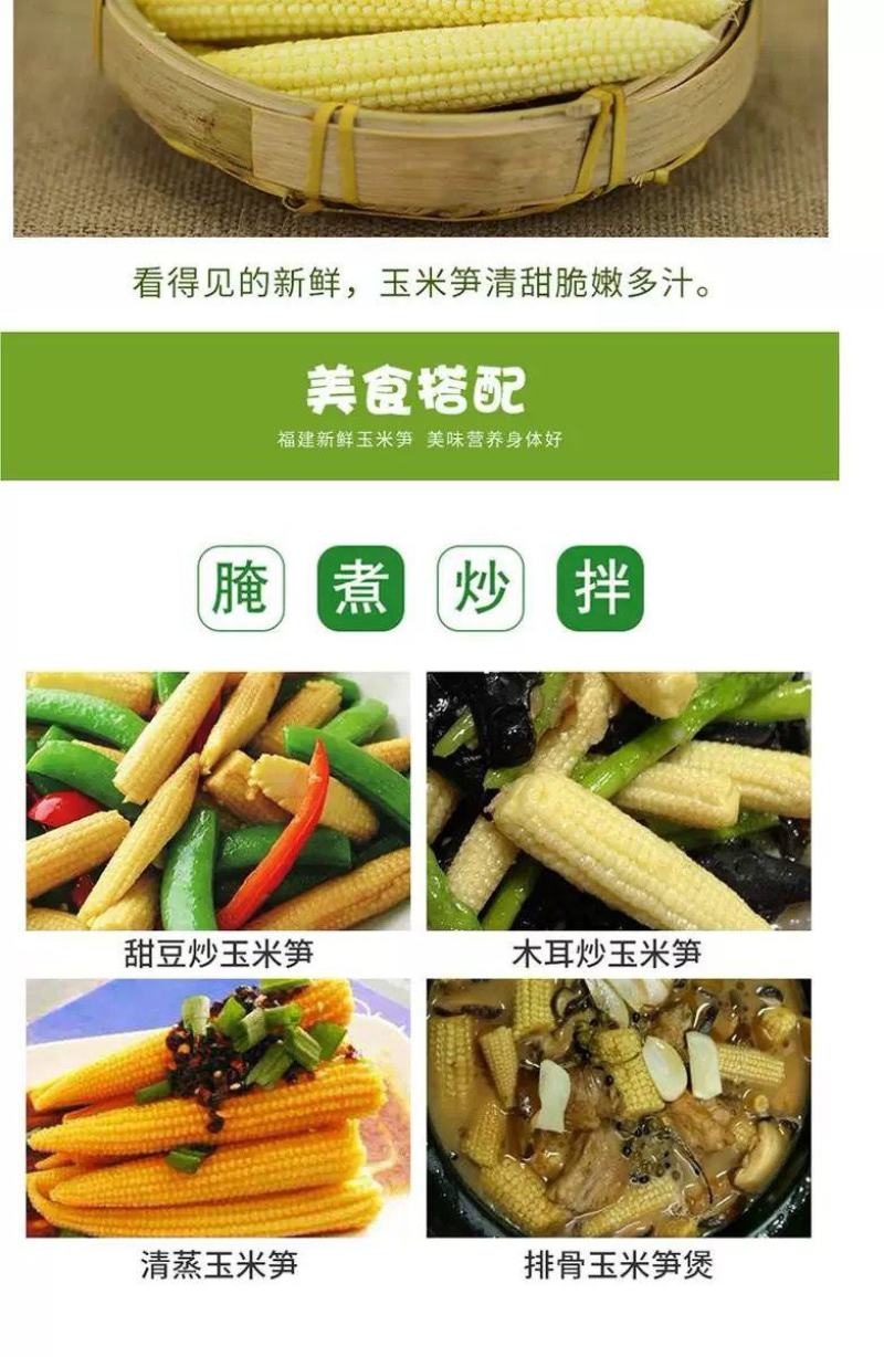 新鲜水果玉米笋现摘新鲜甜小玉米芯仔现发沙拉食材包邮。