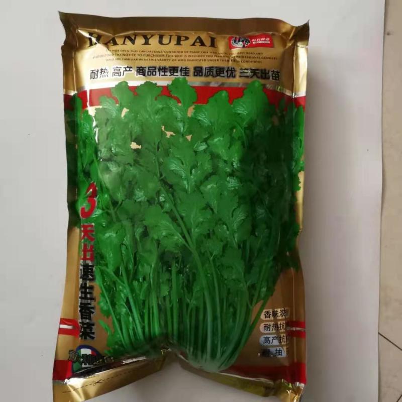 香菜种子意大利香菜种子四季可播种子速生四季香菜种子