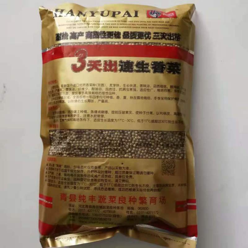 香菜种子意大利香菜种子四季可播种子速生四季香菜种子