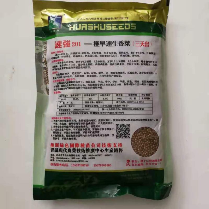 香菜种子意大利香菜种子四季可播种子速生四季香菜种子