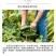 供应氨基酸原粉动物农业冲施肥水产养殖农业复合氨基酸肥料