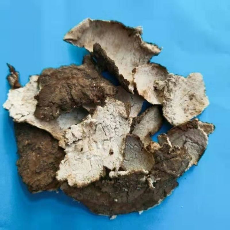 茯苓皮茯苓产地直发量大优惠代抓各种药方