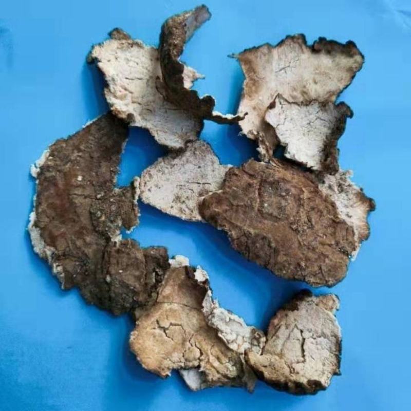 茯苓皮茯苓产地直发量大优惠代抓各种药方