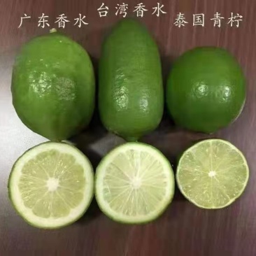 [精选]香水柠檬苗无核香水柠檬苗青柠檬苗正品苗