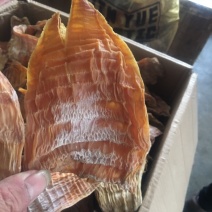 笋干出售，有需要的老板可联系