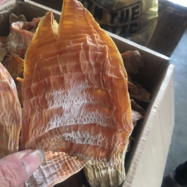 笋干出售，有需要的老板可联系