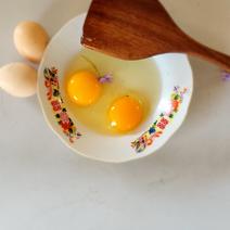 芦花山鸡蛋，溜达鸡鸡蛋