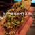 杜梨种子，嫁接各种梨苗沾木，芽率看图片，大量批发，