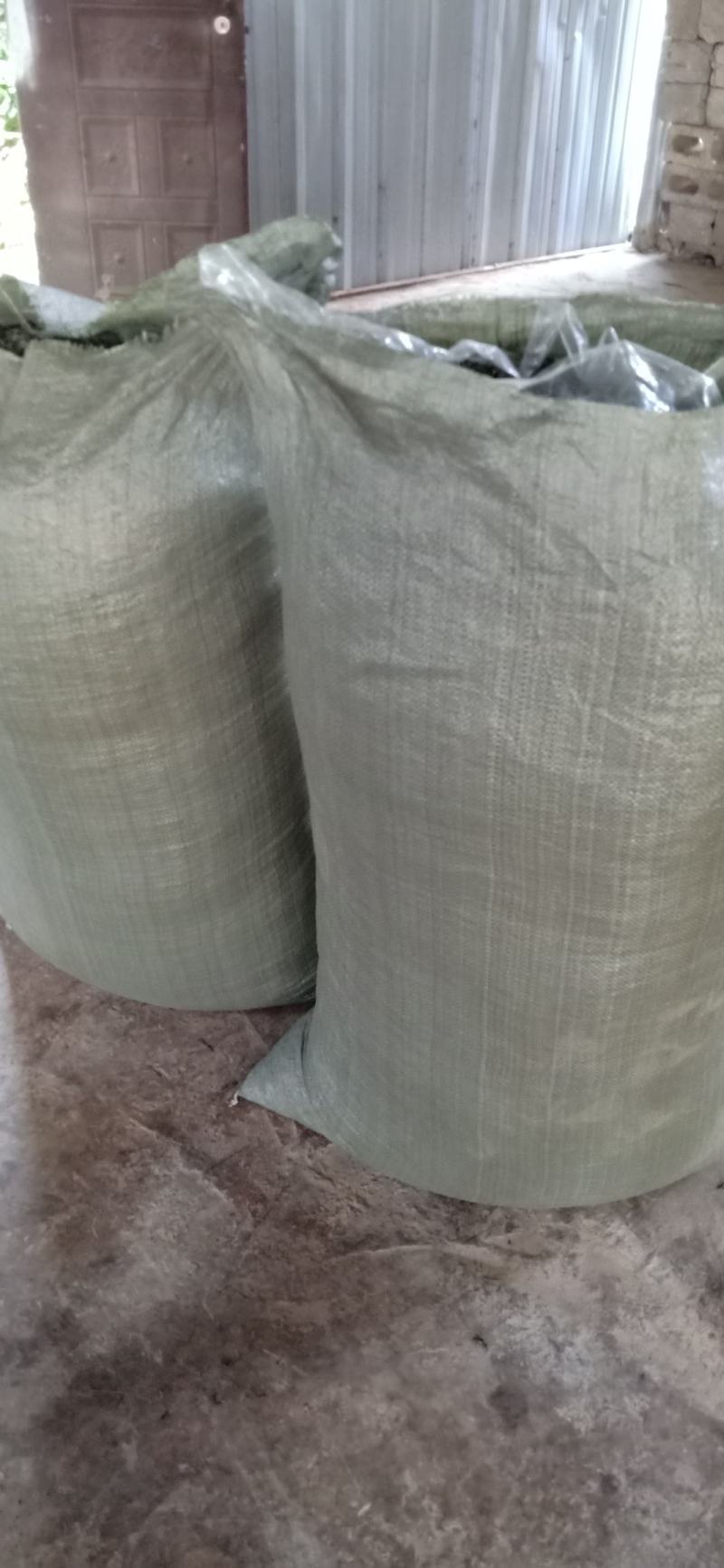 广西西林县黄子山白毫茶厂家直销恒温长期保存