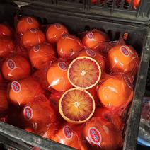 精品塔罗科血橙机器分级65以上精包装