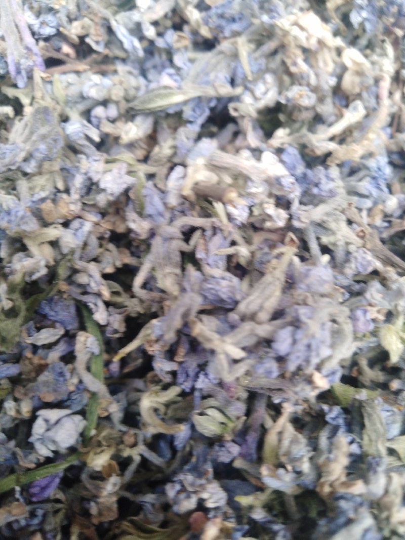 芫花野生干品，药用芫花，药鱼花，头痛花要大货的连系我，，