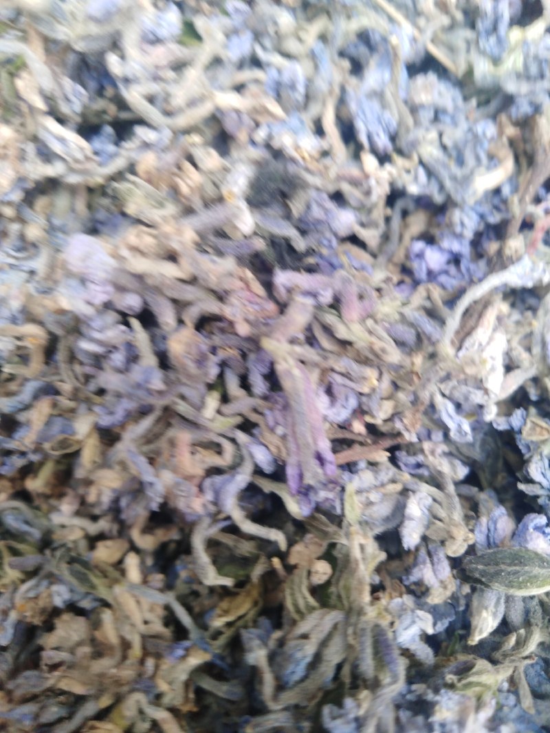 芫花野生干品，药用芫花，药鱼花，头痛花要大货的连系我，，