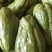 佛手瓜，广东徐闻精选佛手瓜货源足，电商市场商超欢迎选购！