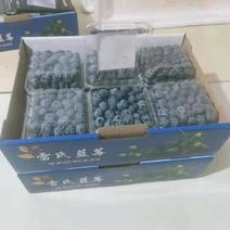 蓝莓大量供应全国空运当天配送到货