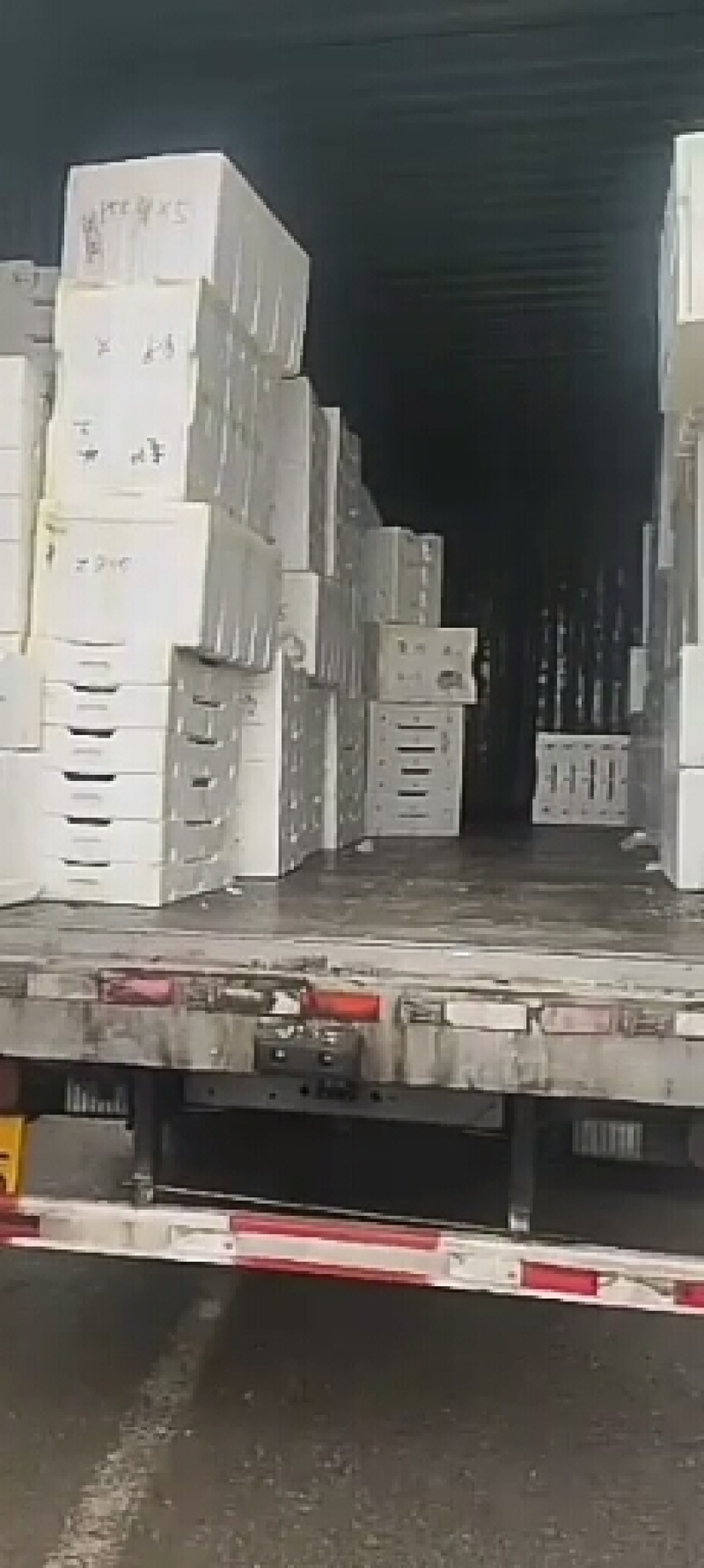 蓝莓大量供应全国空运当天配送到货