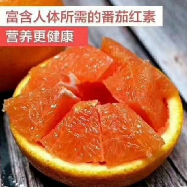 湖北秭归血橙果肉细腻水分充足口感甜一手货源看视频看货