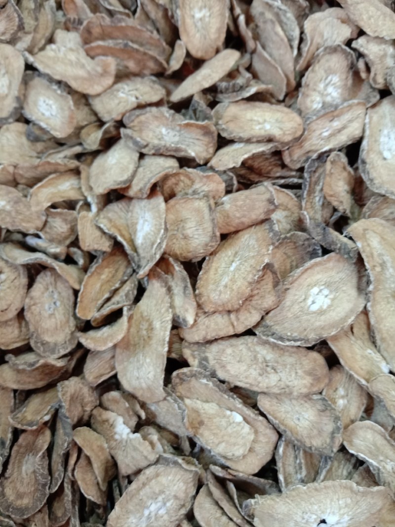 牛蒡，中药材牛蒡，牛蒡根