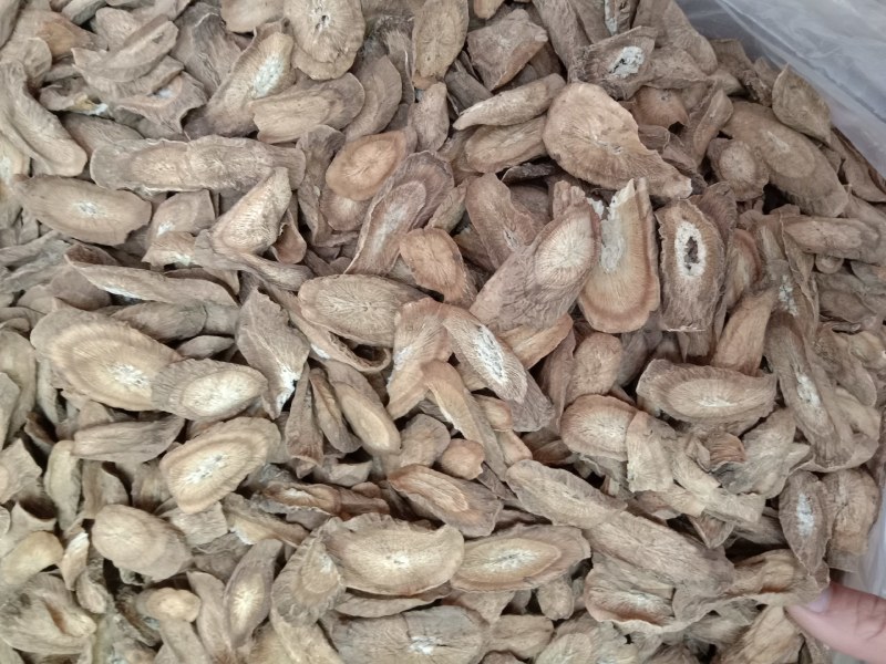 牛蒡，中药材牛蒡，牛蒡根