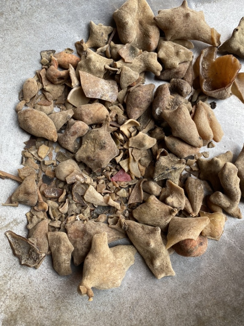 五倍子统货供应各种中药材矿石冷背货