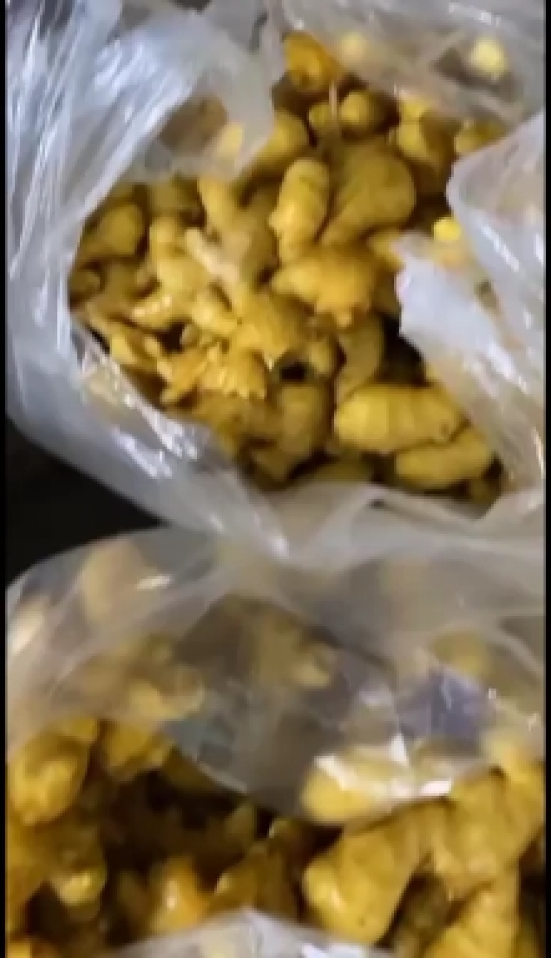 生姜产地直销一手货源价格便宜质量保证，大黄姜小黄姜