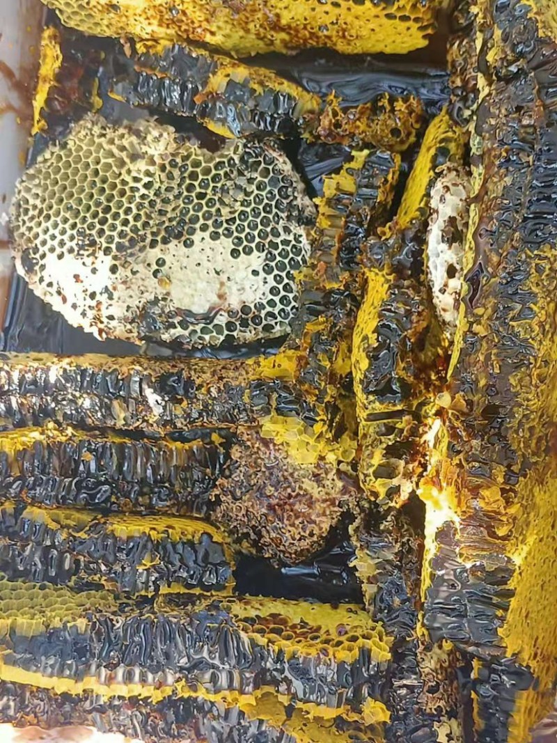 黑蜂蜜野生蜜蜂高山野生蜜