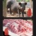 【超值包邮】四川麻辣香肠烟熏纯肉肠川味特产腊肉熏肉小腊肠