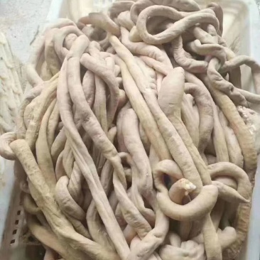牛圆肠干净卫生半成品量大从优