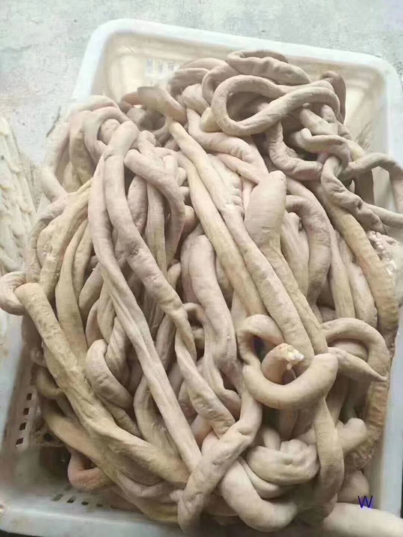 牛圆肠干净卫生半成品量大从优