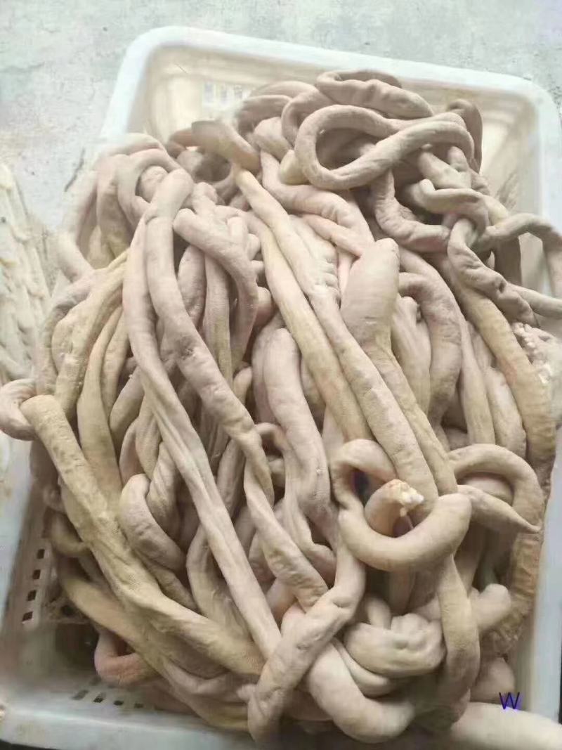 牛圆肠干净卫生半成品量大从优