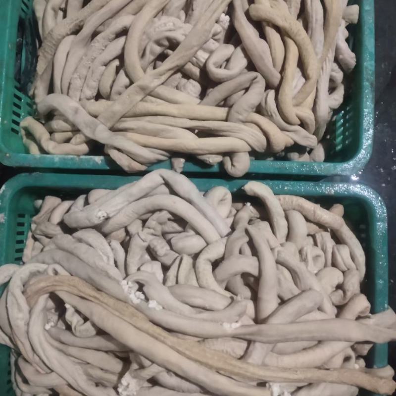 牛圆肠干净卫生半成品量大从优