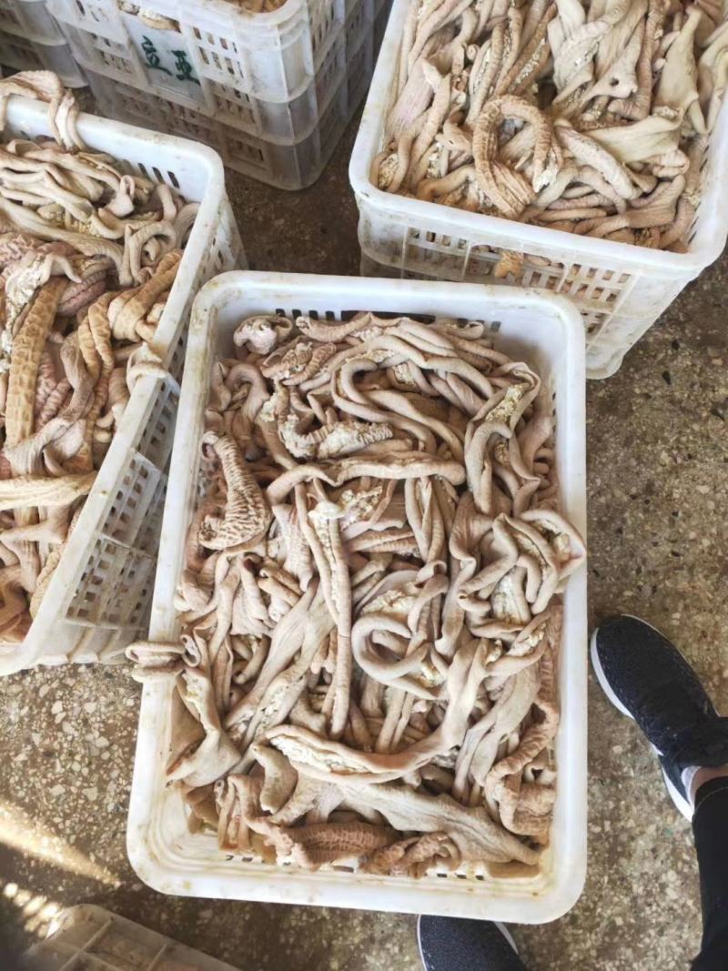牛圆肠干净卫生半成品量大从优