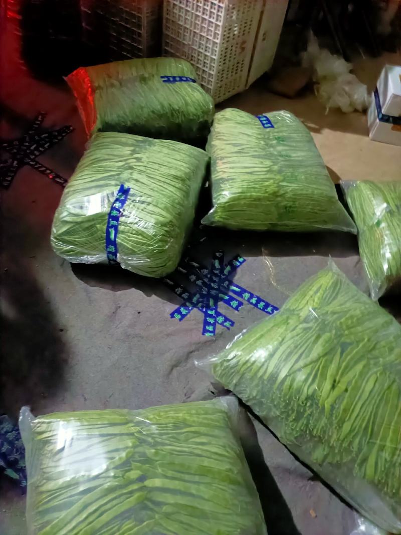 芸豆精品芸豆大量有货商河基地芸豆上货快