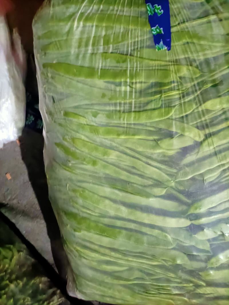 芸豆精品芸豆大量有货商河基地芸豆上货快