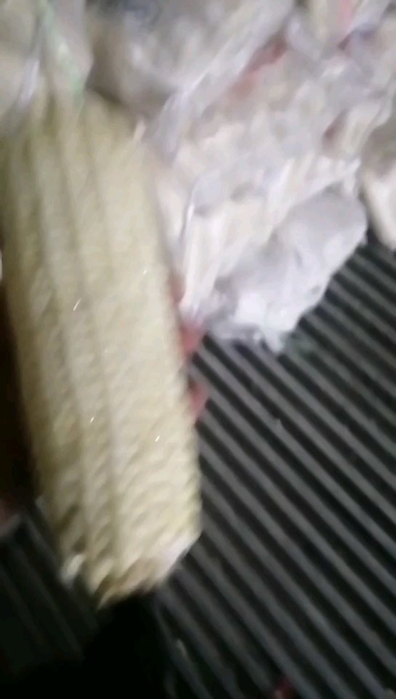 冷库粘玉米带皮玉米大量有货