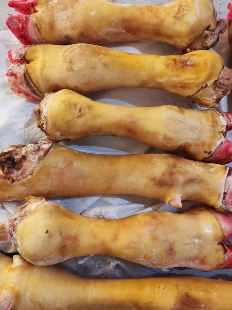 火烧大公牛一手货源牛蹄证件齐全量大优惠