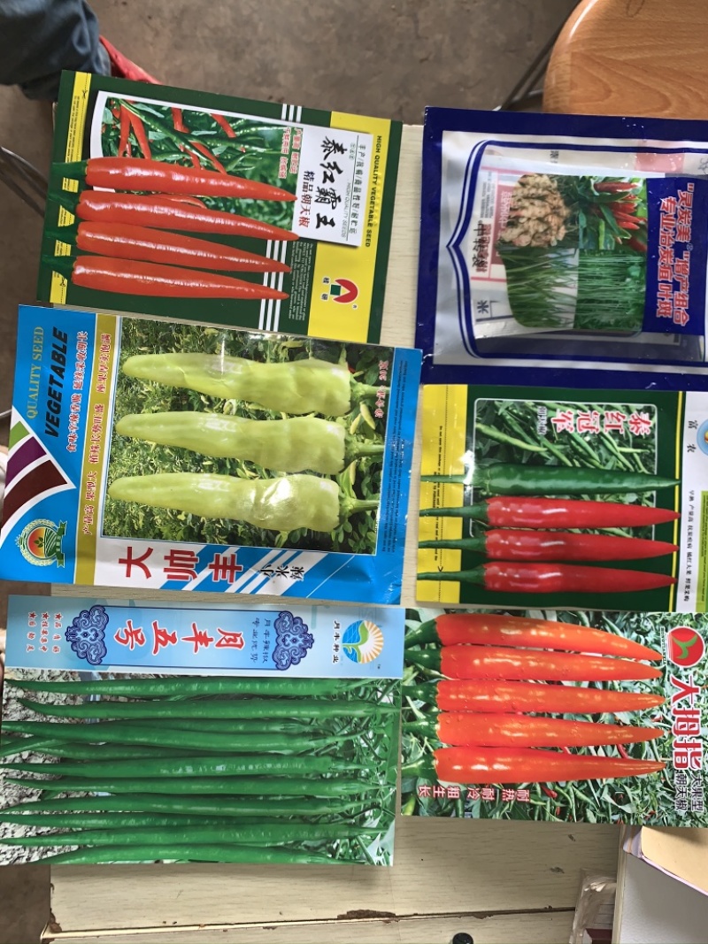 当天现摘新鲜小米辣红辣椒