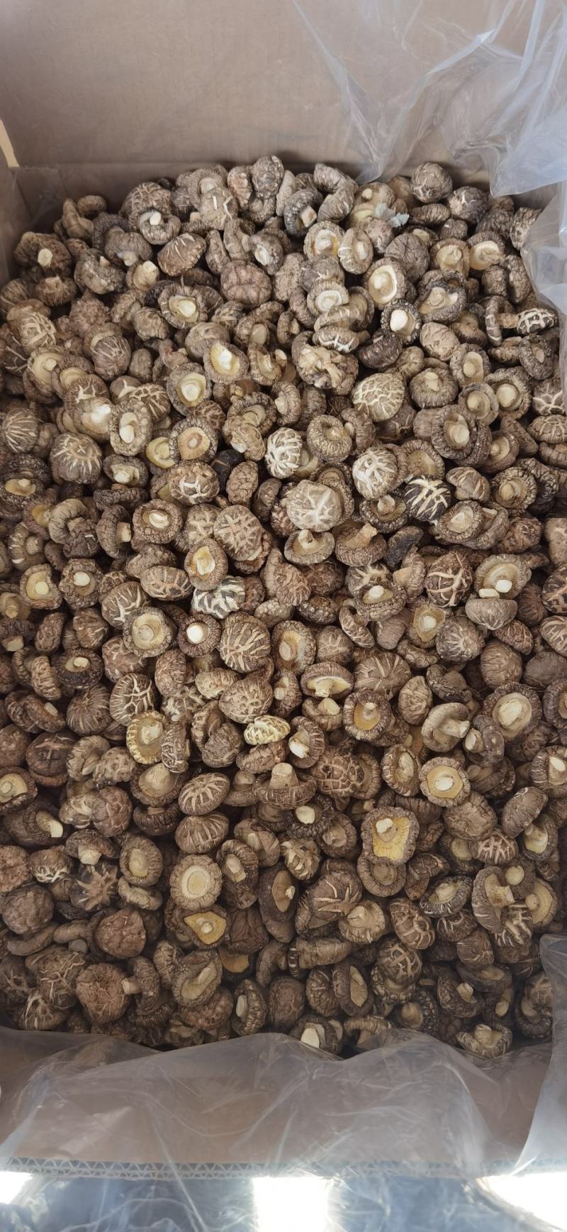 香菇干货产地直供量大稳定常年可合作支持一件代发